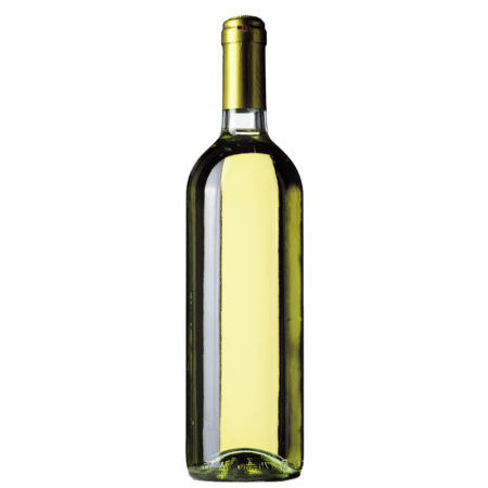 Vino Bianco